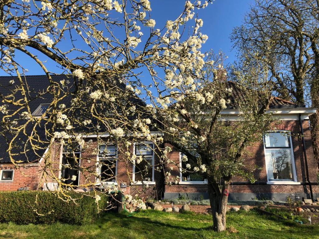 Onder De Boom Bed & Breakfast Gerkesklooster Екстериор снимка